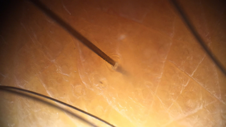 Scientists Use Human Hair to Make Displays for Smart Devices Scientists Use Human Hair to Make Displays for Smart Devices