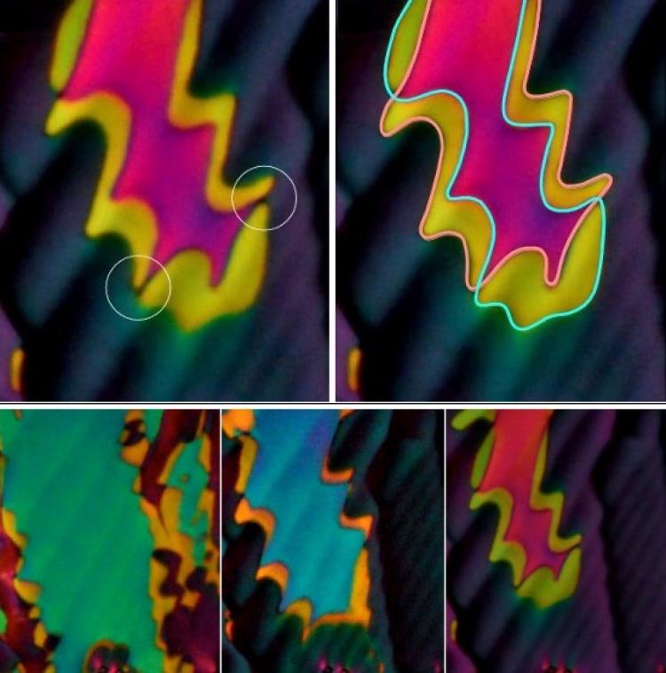 Scientists Discover New Liquid Phase After 100 Years of Research Scientists Discover New Liquid Phase After 100 Years of Research