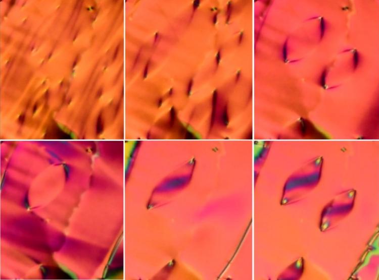 Scientists Discover New Liquid Phase After 100 Years of Research Scientists Discover New Liquid Phase After 100 Years of Research