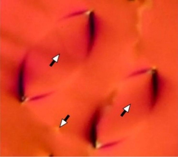 Scientists Discover New Liquid Phase After 100 Years of Research Scientists Discover New Liquid Phase After 100 Years of Research