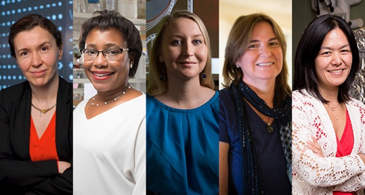 For the First Time Ever, Majority of MIT Engineering Department Heads Are Women