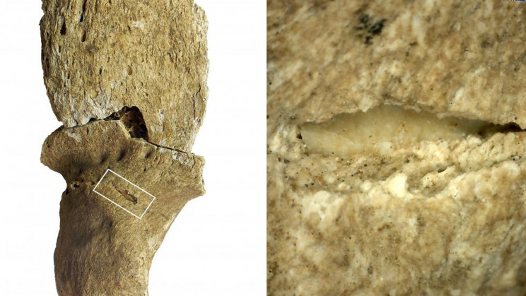 Oldest Known War May Have Been Fueled by Climate Change, Scientists Say