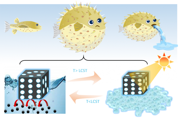 New Low-Cost Solar Panel Water Purifier Is Inspired by The Pufferfish New Low-Cost Solar Panel Water Purifier Is Inspired by The Pufferfish