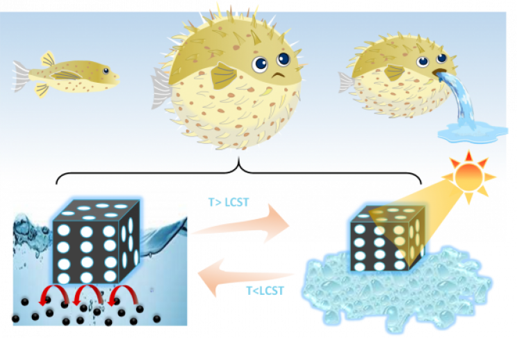 New Low-Cost Solar Panel Water Purifier Is Inspired by The Pufferfish New Low-Cost Solar Panel Water Purifier Is Inspired by The Pufferfish