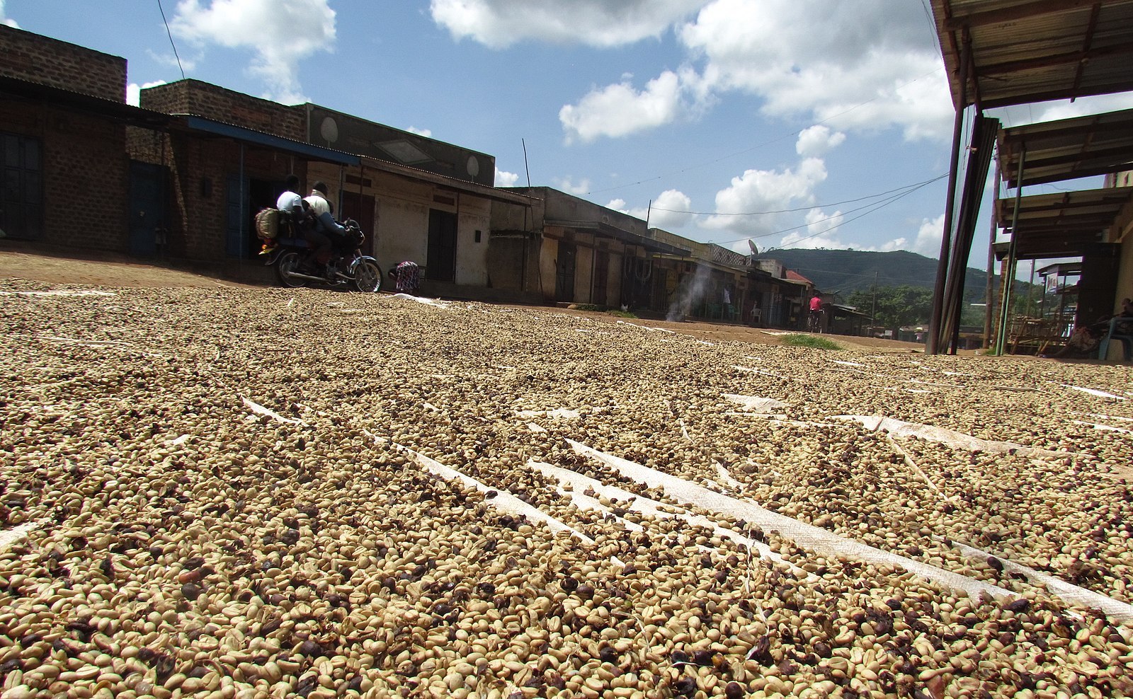 Colombian Coffee Is Now Used to Build Houses Colombian Coffee Is Now Used to Build Houses