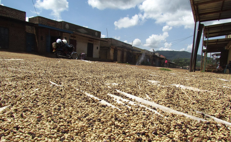 Colombian Coffee Is Now Used to Build Houses Colombian Coffee Is Now Used to Build Houses