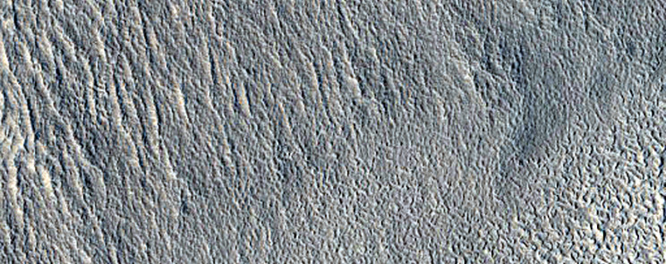 Possible Landing Sites for SpaceX's Mars Mission Have Been Revealed Possible Landing Sites for SpaceX's Mars Mission Have Been Revealed