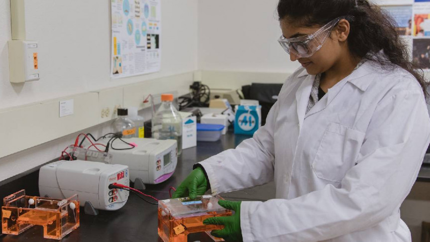 learn more about the field of biomedical engineering biomedical engineering job description