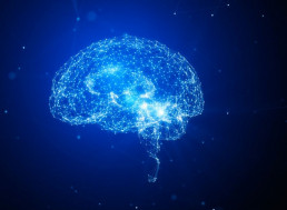 Your Thoughts Can Change Your Brain, Research Says