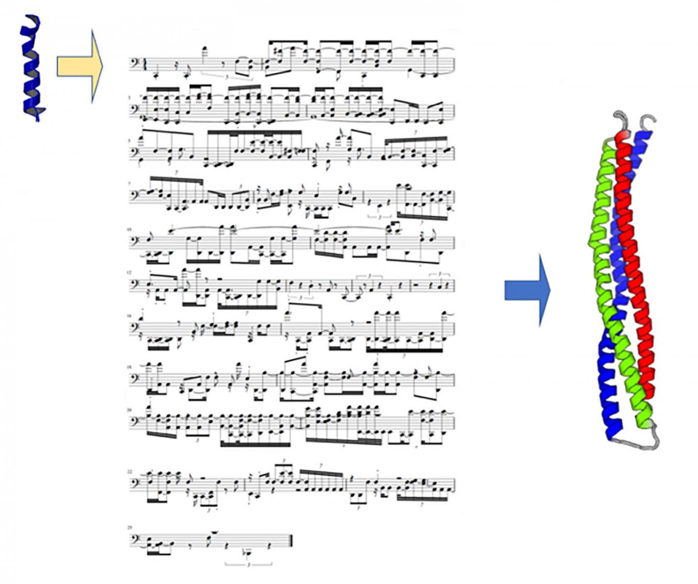 Scientists Use AI to Create Music through Proteins Scientists Use AI to Create Music through Proteins