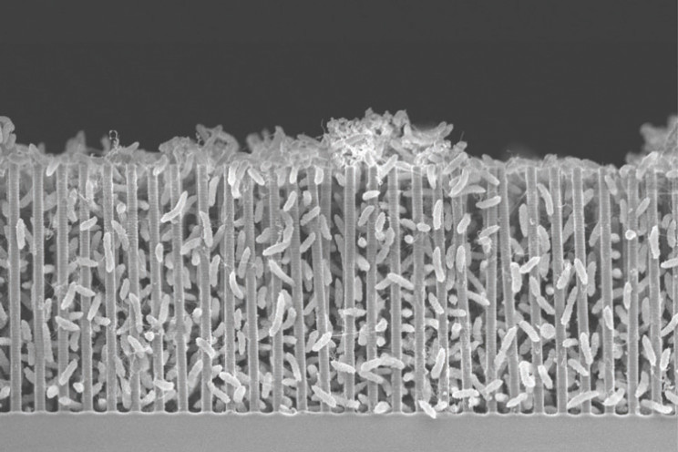 Hybrid Reactor Uses Bacteria to Turn CO2 into Useful Molecules on Mars or Earth Hybrid Reactor Uses Bacteria to Turn CO2 into Useful Molecules on Mars or Earth