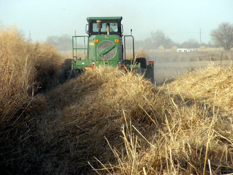 examples of biofuels