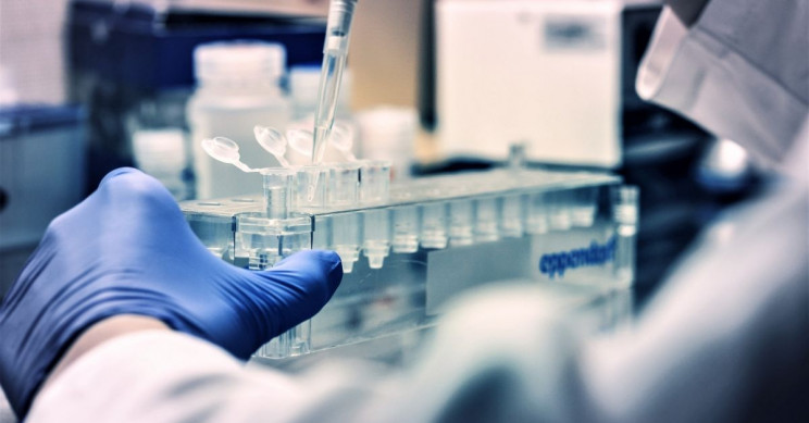 FDA Has Authorized Two-Minute Antibody Test Kit to Identify Coronavirus Infections