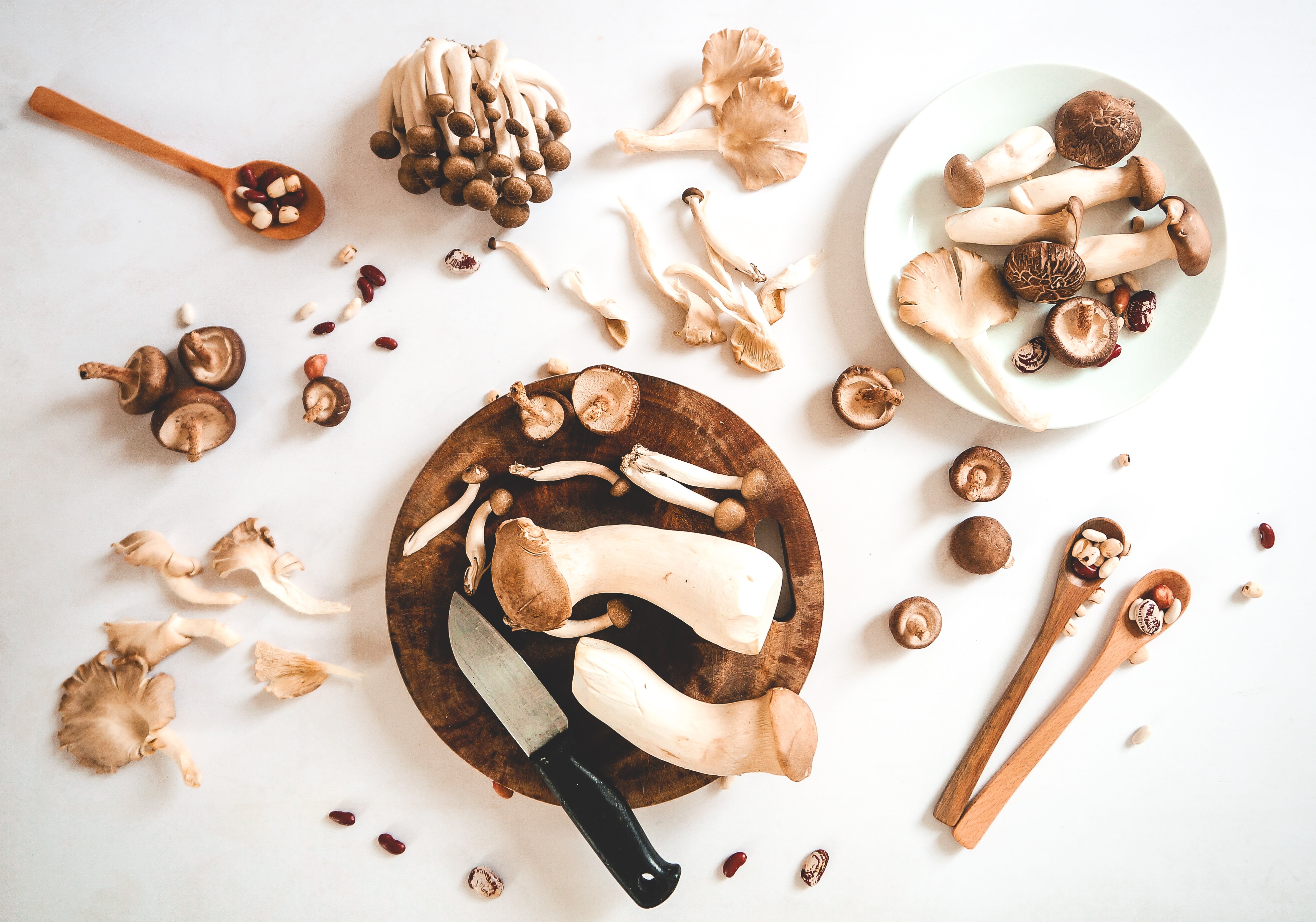 Various mushroom types set against a white background surrounding a wooden cutting board a knife with a black handle.