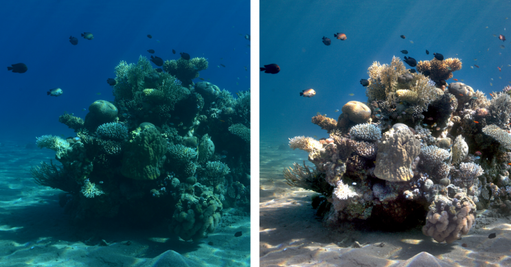 New Algorithm Removes Underwater Distortions for Clear Colorful Pictures New Algorithm Removes Underwater Distortions for Clear Colorful Pictures