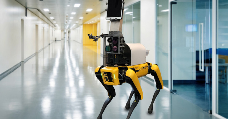 Spot the Robot Dog to Measure COVID-19 Patients' Vitals