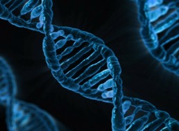 Bioprinting Could Eventually Save Countless Lives Thanks to Predictive Computer Modeling