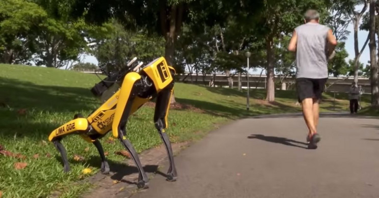 Spot the Robot Now Used in Singapore to Implement Social Distancing in Parks