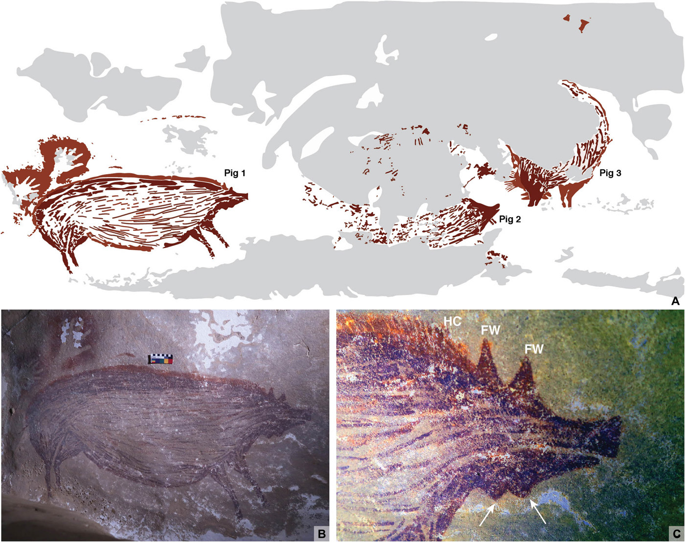 45,500-Year-Old Pig Painting May Be World’s Oldest Animal Art 45,500-Year-Old Pig Painting May Be World’s Oldest Animal Art