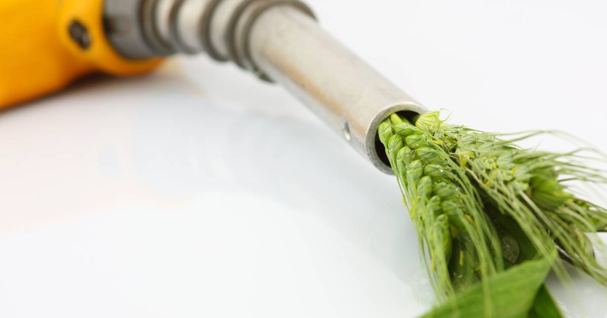 biofuels are not that green