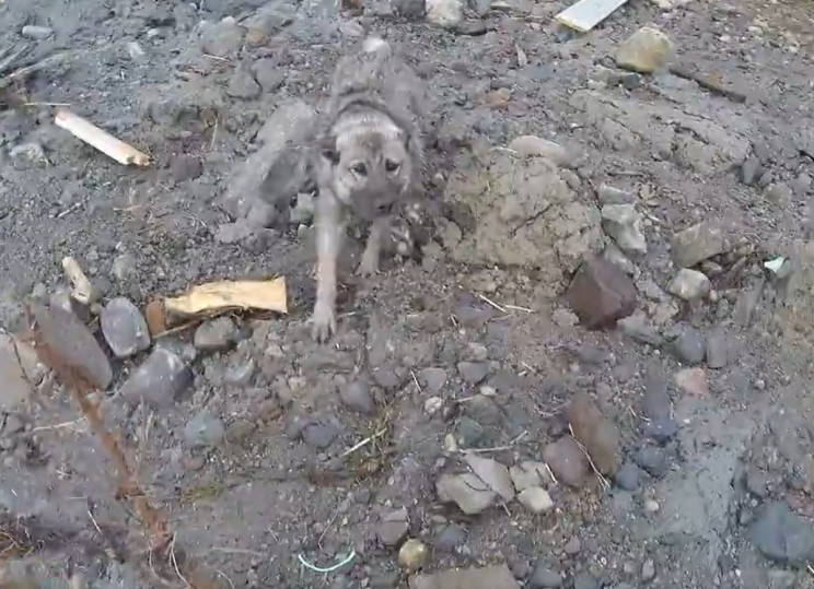 Footage Shows Major Landslide Destroying 8 Houses in Norway Footage Shows Major Landslide Destroying 8 Houses in Norway