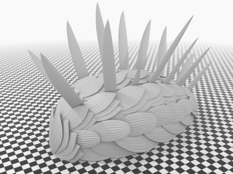 cambrian explosion wiwaxia