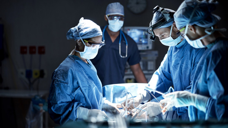 Do pig-to-human transplants work? Here are the risks you face