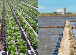 8 Innovative Drought Solutions That We Can Count On