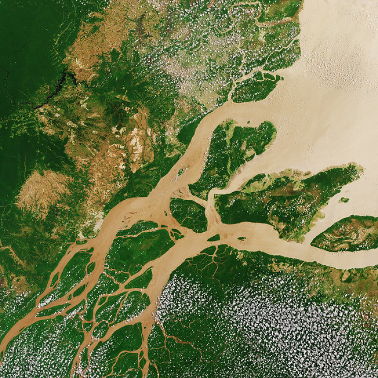 Researchers Pinpoint Rainforest Regrowth Hotspots to Fight Climate Change