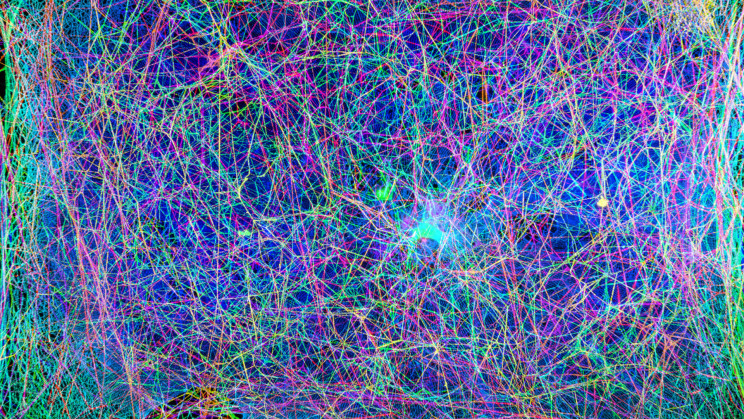 Scientists Made Music From the Structure of a Spider Web