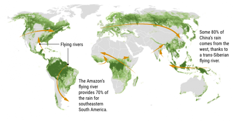 Theory Claims That Forests Not Only Create Rain but Also Wind Theory Claims That Forests Not Only Create Rain but Also Wind