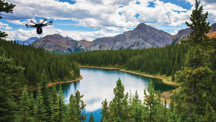 These Drones Will Plant 1 Billion Trees in Just 8 Years These Drones Will Plant 1 Billion Trees in Just 8 Years