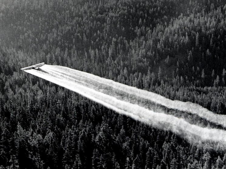 DDT Ban in 1972 DDT Ban in 1972