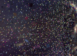 Disney to Test AI Bias Check for Representation in Television and Film