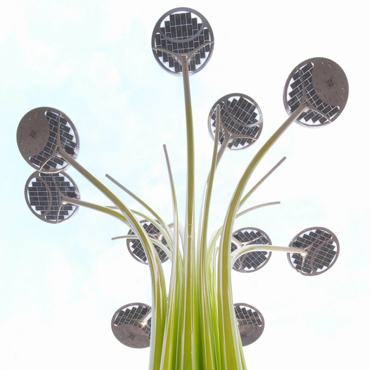 interesting lighting solar trees
