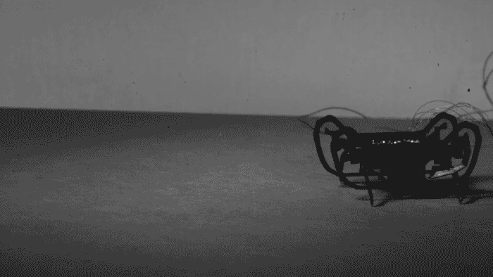 Cockroach-Inspired Mini Robots Are Small but Mighty Cockroach-Inspired Mini Robots Are Small but Mighty