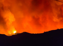 Fighting Fire With Fire Found to be Effective in Reducing Wildfires