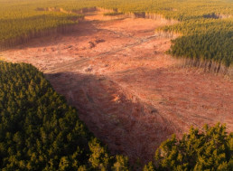 Technology Being Used to Combat Freshwater Shortages, Deforestation
