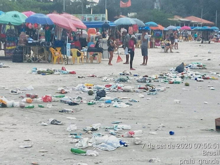 Penguin Found Dead on Beach After Swallowing Face Mask Penguin Found Dead on Beach After Swallowing Face Mask