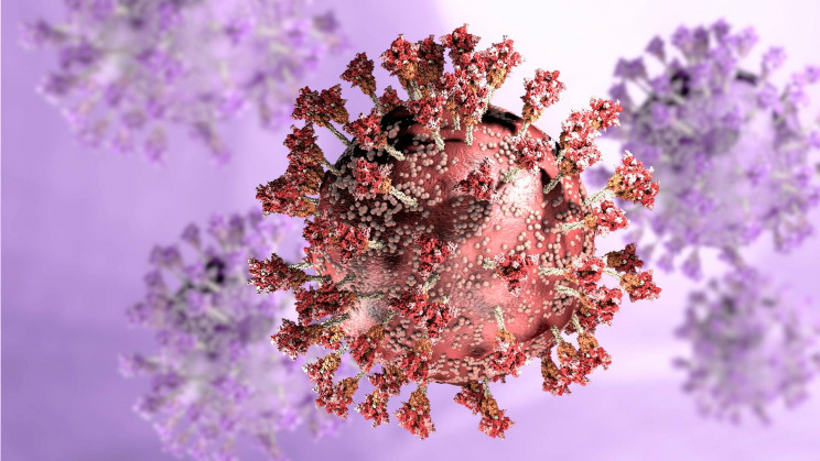 A new hybrid COVID-19 variant emerges. Should we worry?