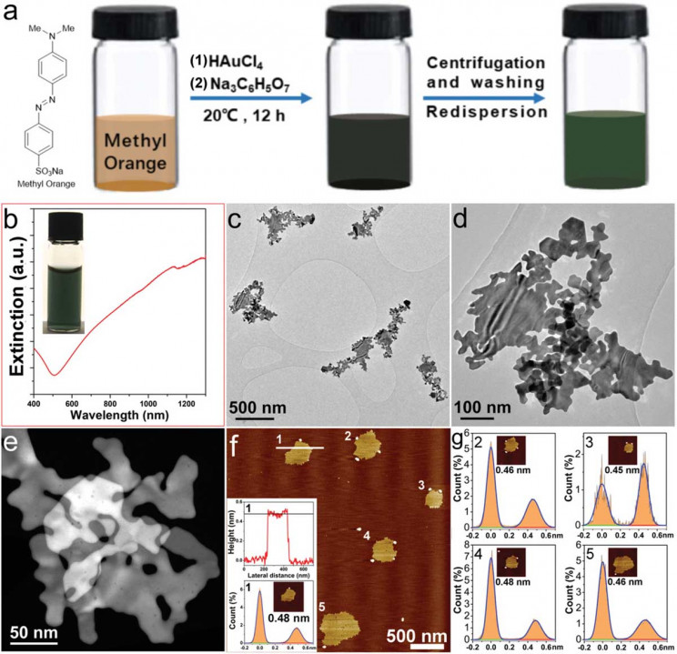 Gold-Nanosheet-Process Gold Nanosheet Process