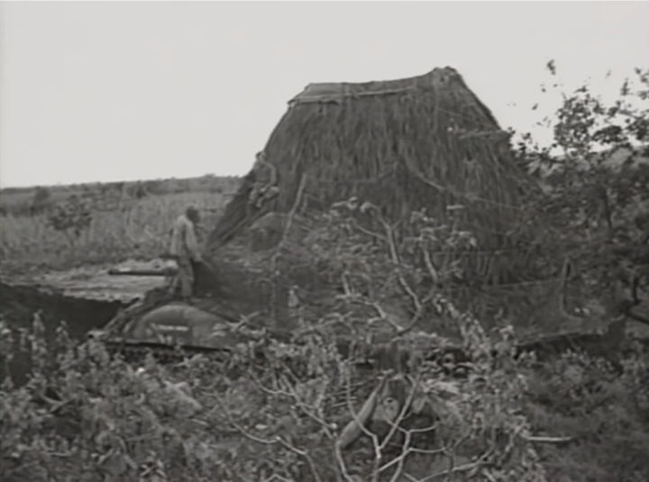 Anti-aircraft guns within false haystack Anti-aircraft guns within false haystack
