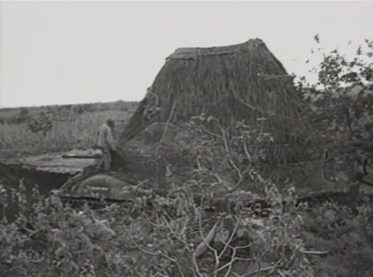Anti-aircraft guns within false haystack Anti-aircraft guns within false haystack