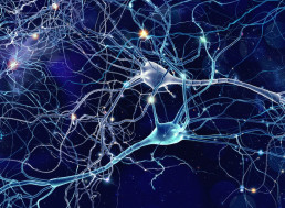 Inception: Scientists Have Successfully Implanted an Artificial Memory