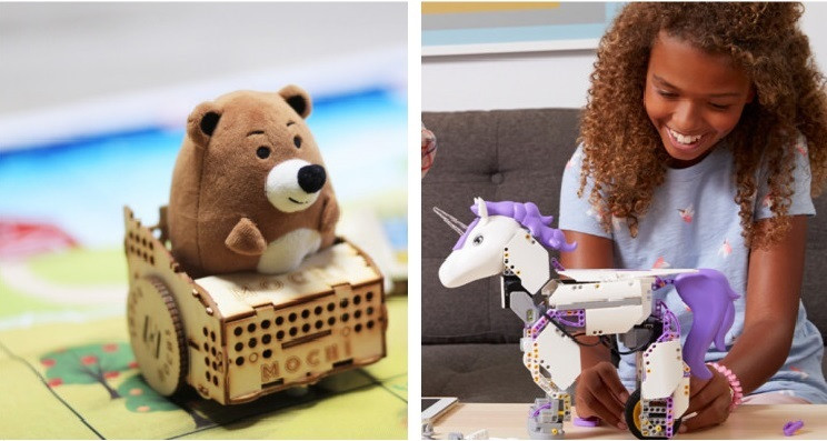 Generation Alpha: Learning STEM Skills by Coding Robots