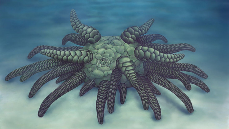 Ancient Sea Creature Fossil Is Named After Cthulhu