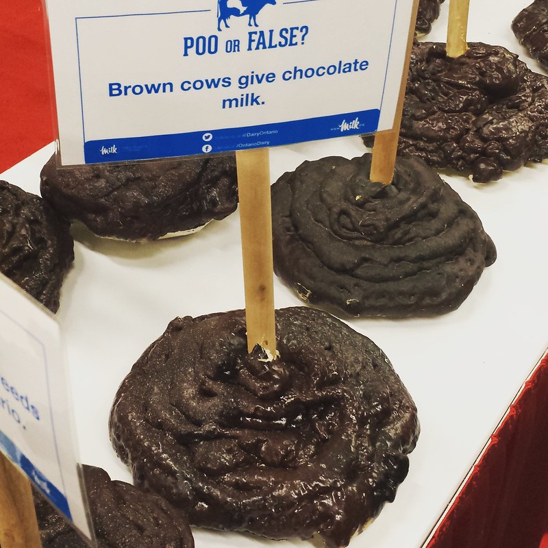 coronavirus cow dung