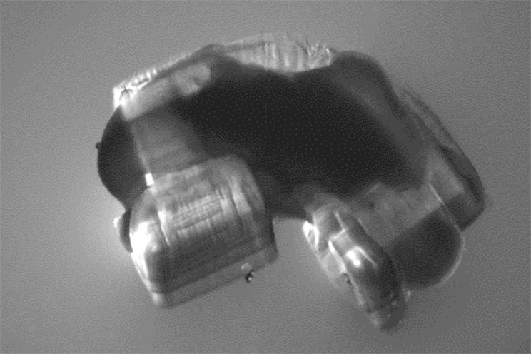 Rat Spines Power Robots With 3D-Printed Muscles Rat Spines Power Robots With 3D-Printed Muscles