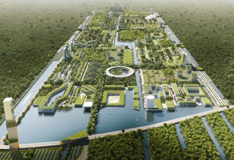 vertical forests city