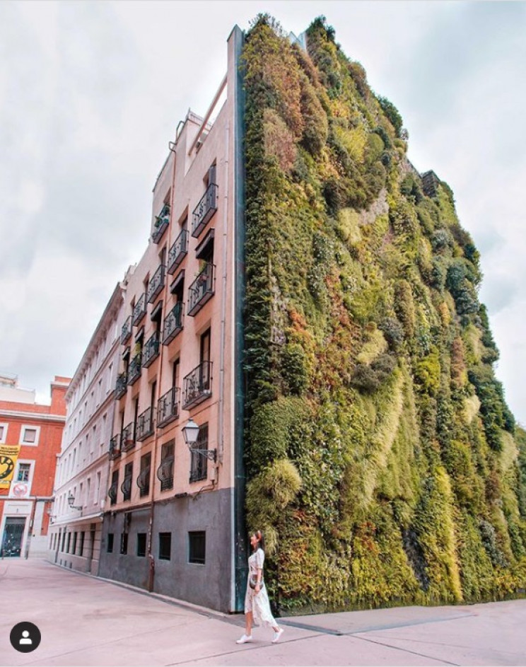 vertical forests 2
